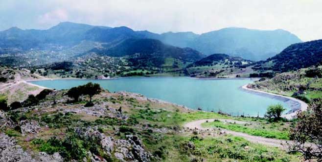 Greek Ministry of Agriculture, various Reservoirs and Dams Design Reviews